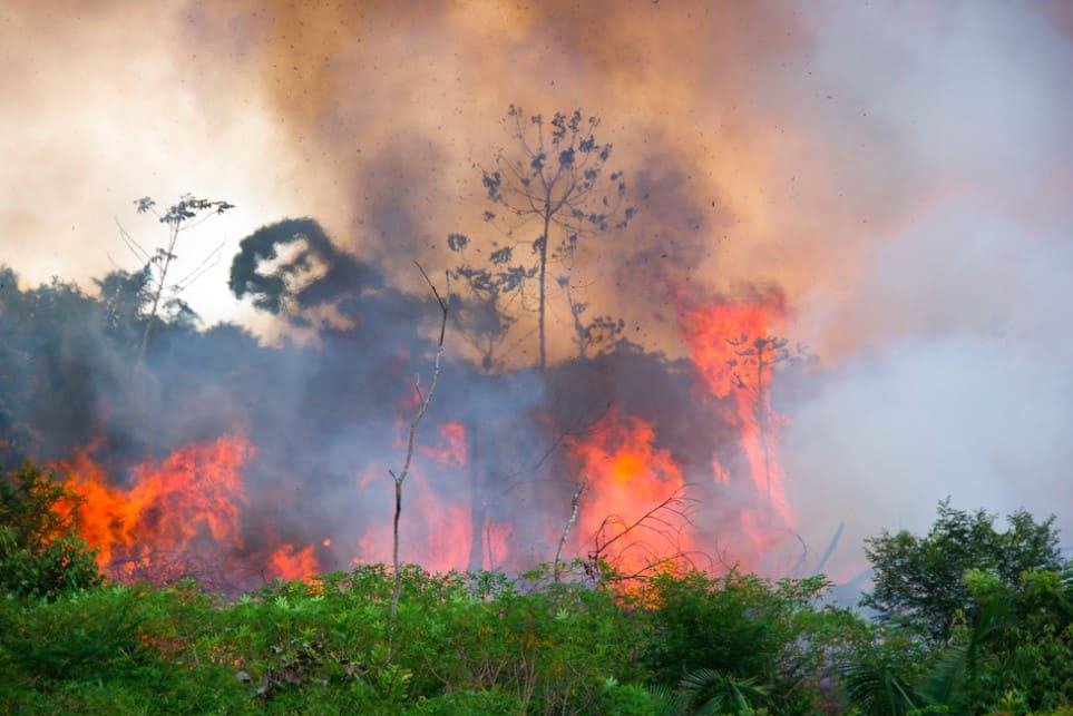 incendio floresta amazonia