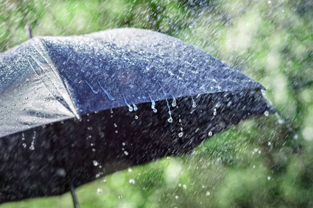 IA ajuda pesquisadores a antecipar impactos do El Niño no Brasil istock 1757967583 1024x683