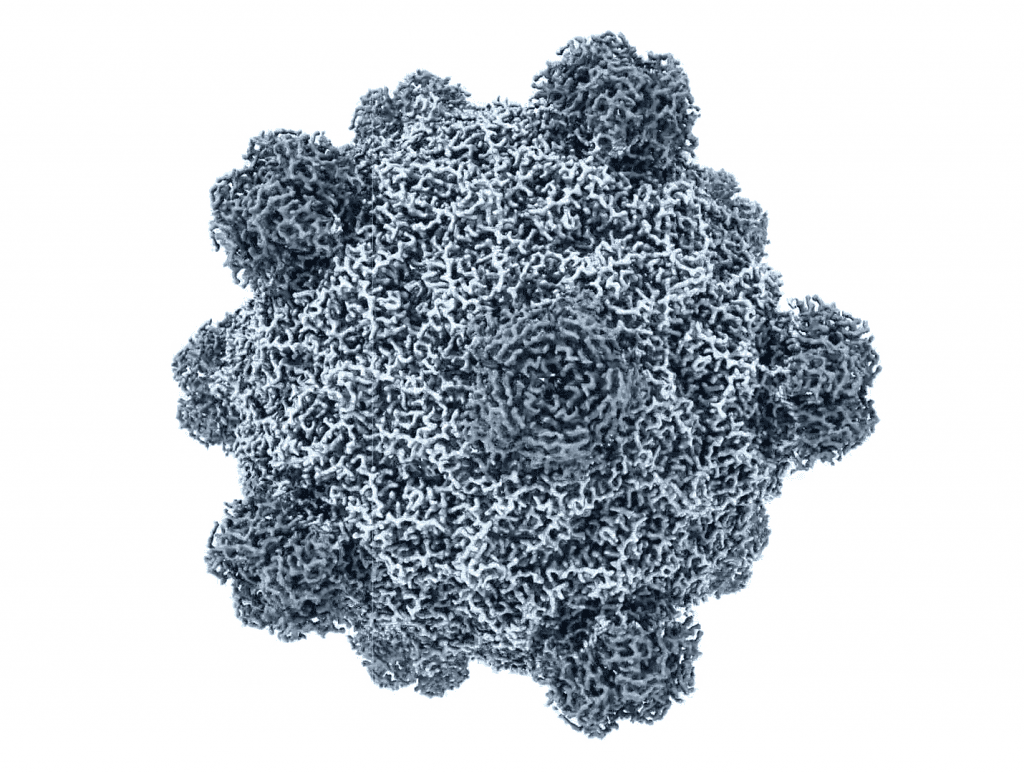 IA cria vírus inéditos em laboratório pela primeira vez ia virus 2 1024x773